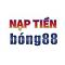 napbong88's Avatar