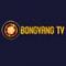 bongvangtv's Avatar